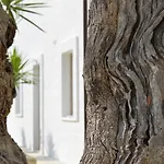 Masseria Torrepietra Hotel