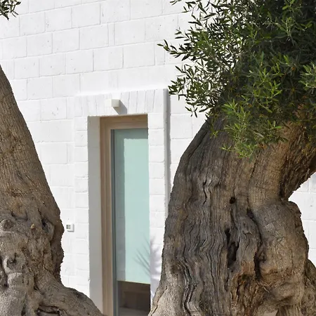 Masseria Torrepietra 4* 莫诺波利