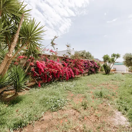 Masseria Torrepietra 莫诺波利