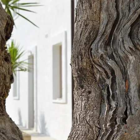 Masseria Torrepietra Hotel