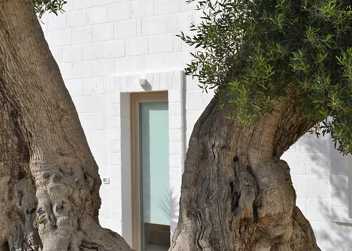 Masseria Torrepietra 4* Monopoli