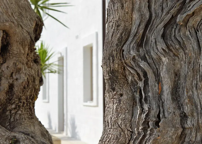 Masseria Torrepietra Hotell